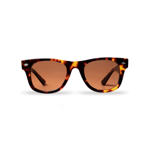 Milan Tortoiseshell